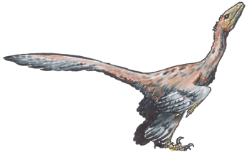 Zepp2A_Microraptor.png
